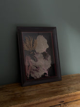Load image into Gallery viewer, Vintage Coral Wall Art Sculpture
